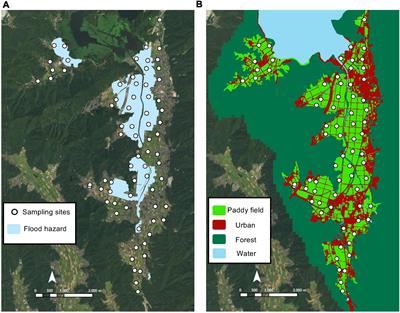 Ecosystem-based disaster risk reduction can benefit biodiversity conservation in a Japanese agricultural landscape